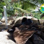 Fornos clandestinos para produção de carvão são destruídos em Santa Cruz Cabrália